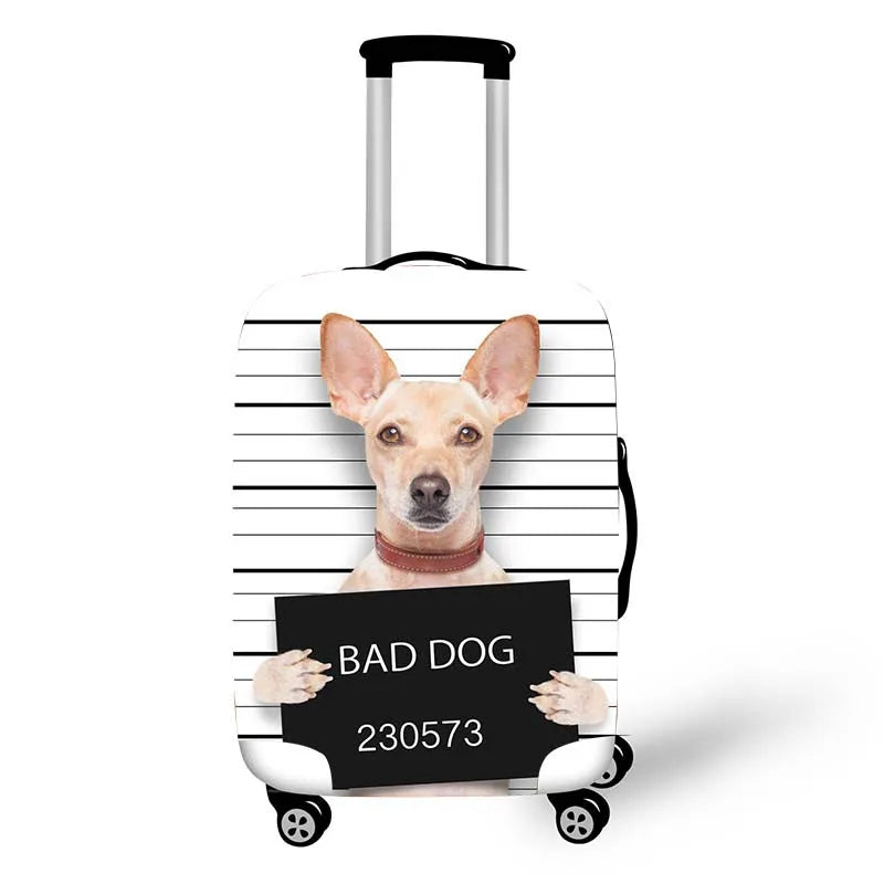 48984892440862|48984892539166|48984892571934|48984892604702