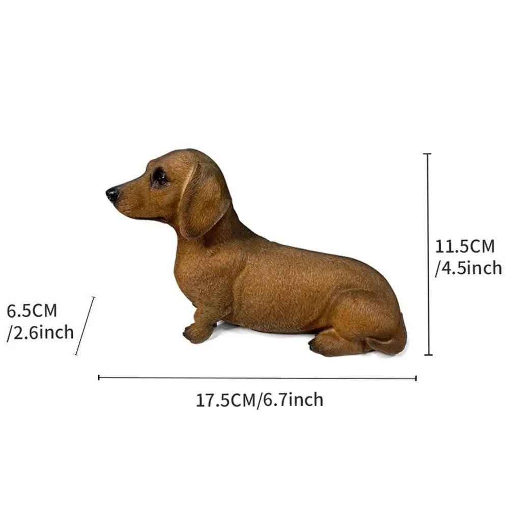 Dachshund Dan Display