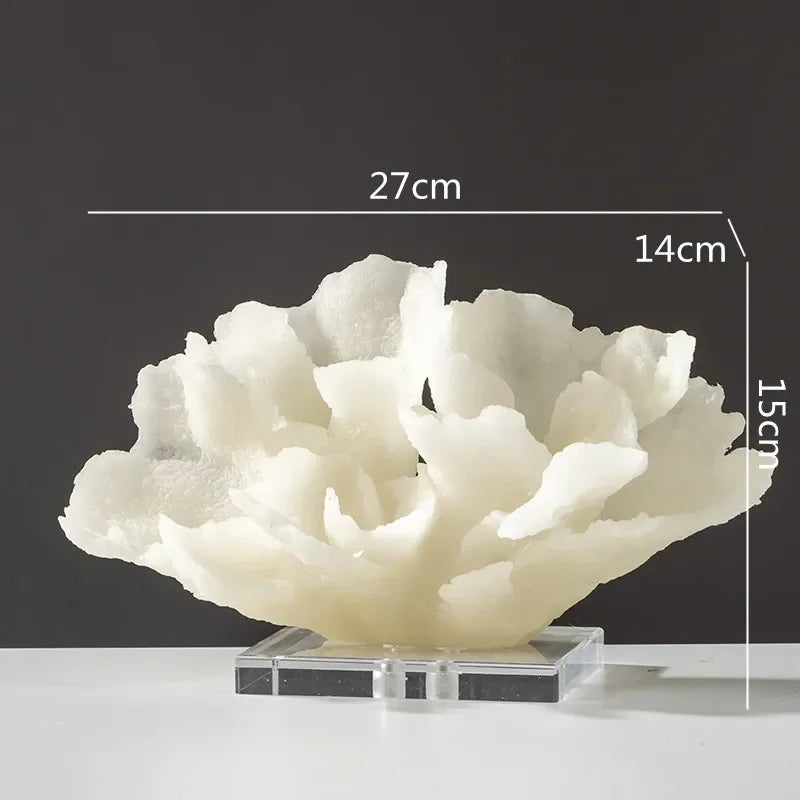 Kora Coral Resin Display