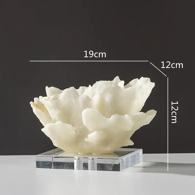 Kora Coral Resin Display