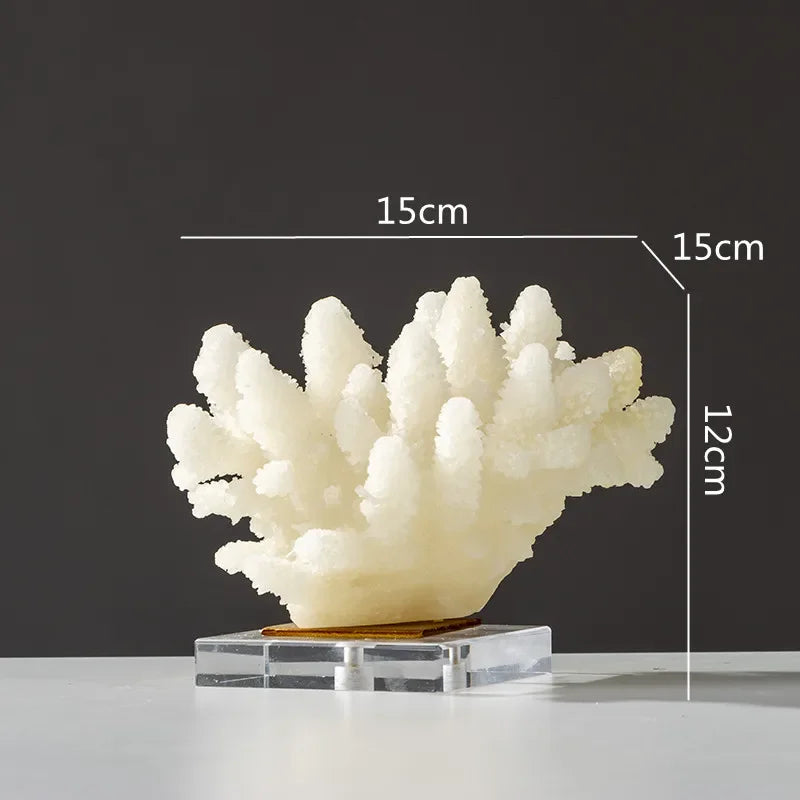 Kora Coral Resin Display