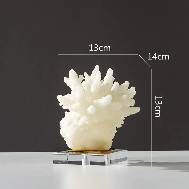 Kora Coral Resin Display