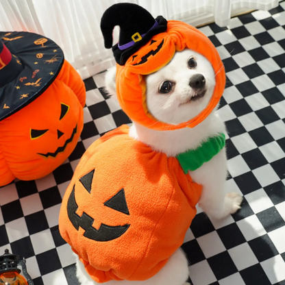 Pumpkin Pet Costume