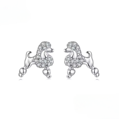 Silver Poodle Studs