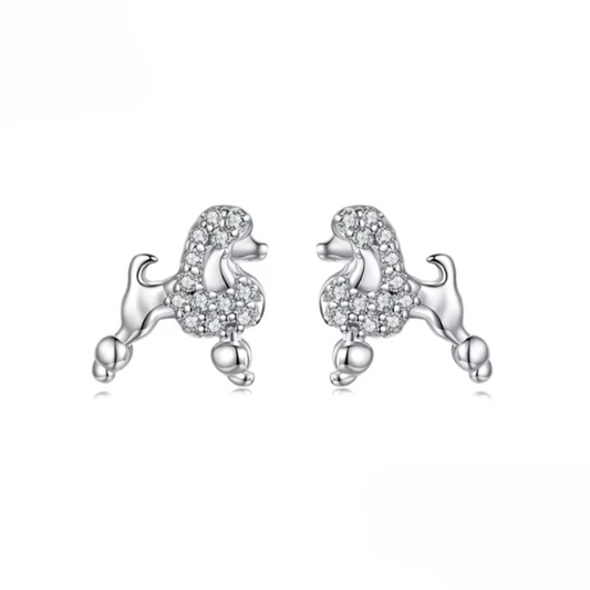 Silver Poodle Studs
