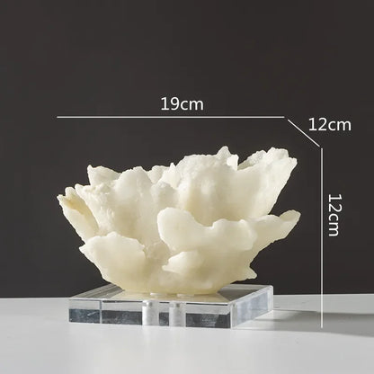 Kora Coral Resin Display