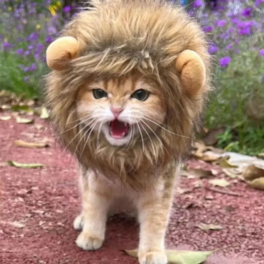 Pet Lion Mane Costume (Dog / Cat )