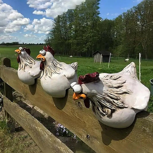 Barn Chickens