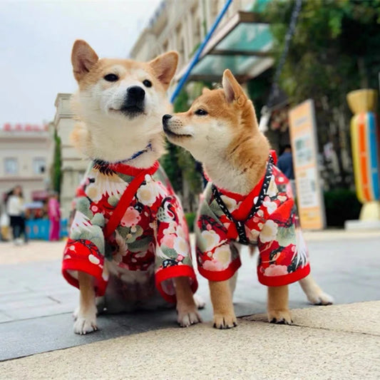 PET Kimono